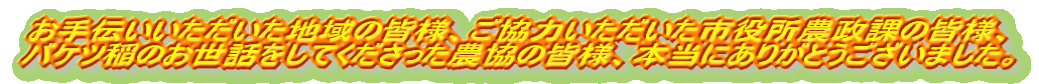 お手伝いいただいた地域の皆様、ご協力いただいた市役所農政課の皆様、バケツ稲のお世話をしてくださった農協の皆様、本当にありがとうございました。